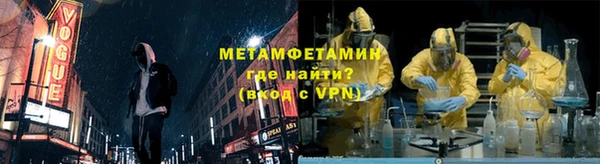 прущие грибы Абдулино