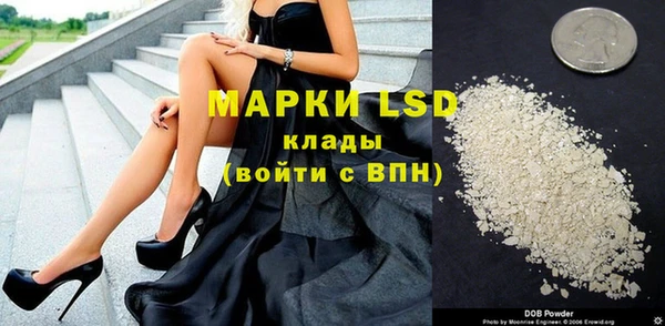прущие грибы Абдулино