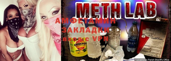 прущие грибы Абдулино