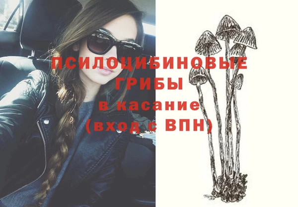 стафф Абаза