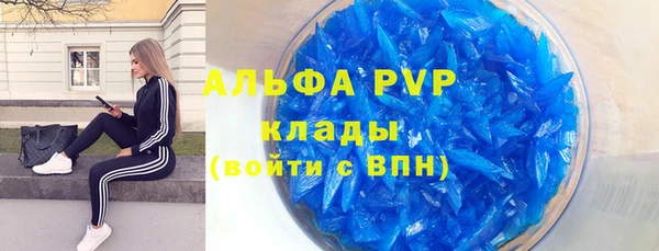 прущие грибы Абдулино
